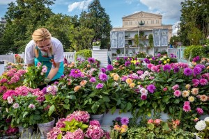 Ландшафтный дизайн и садово-парковое строительство5551